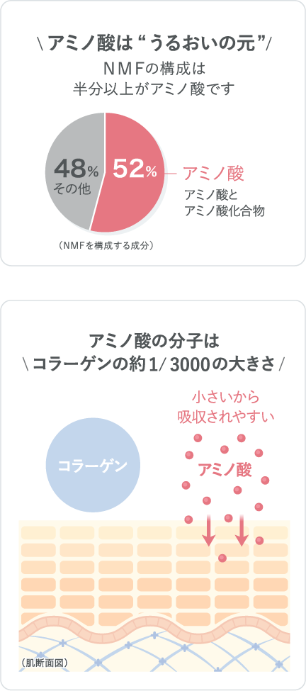 アミノ酸