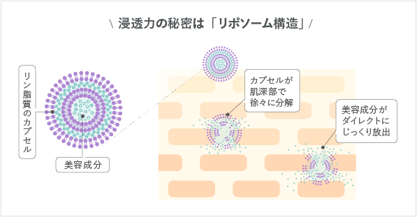 浸透力