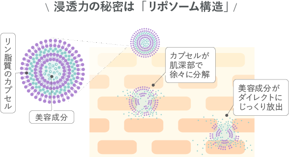 浸透力